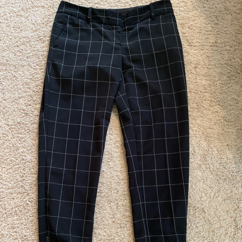 Dress Pant